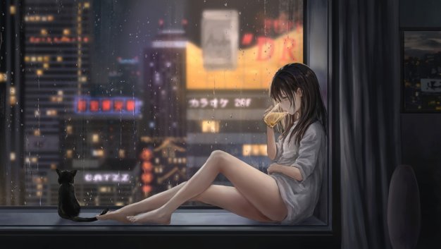 女孩 啤酒 飘窗 城市夜景 雨天 猫