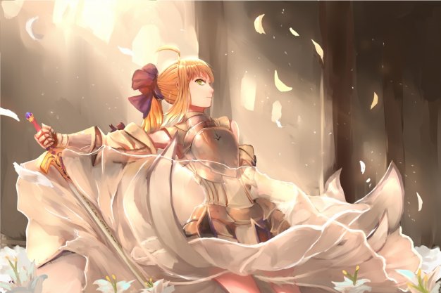 saber Lily 动漫壁纸