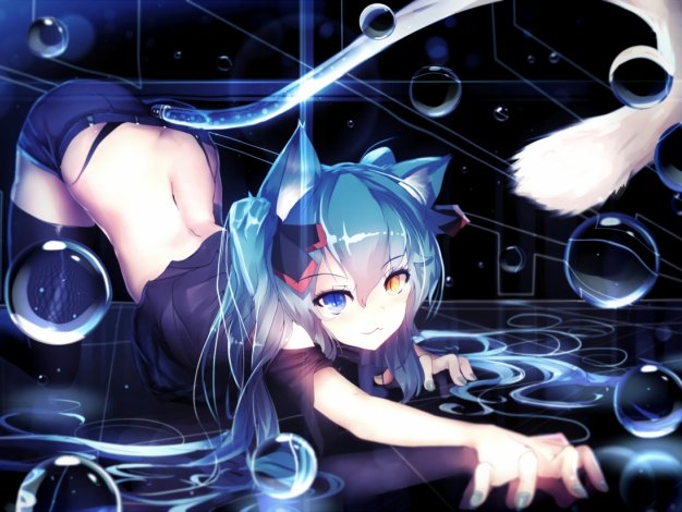 猫儿初音未来动漫壁纸