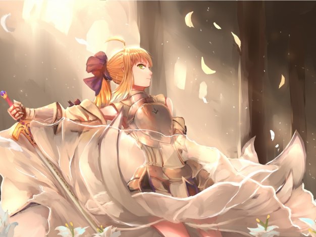 saber Lily 动漫壁纸